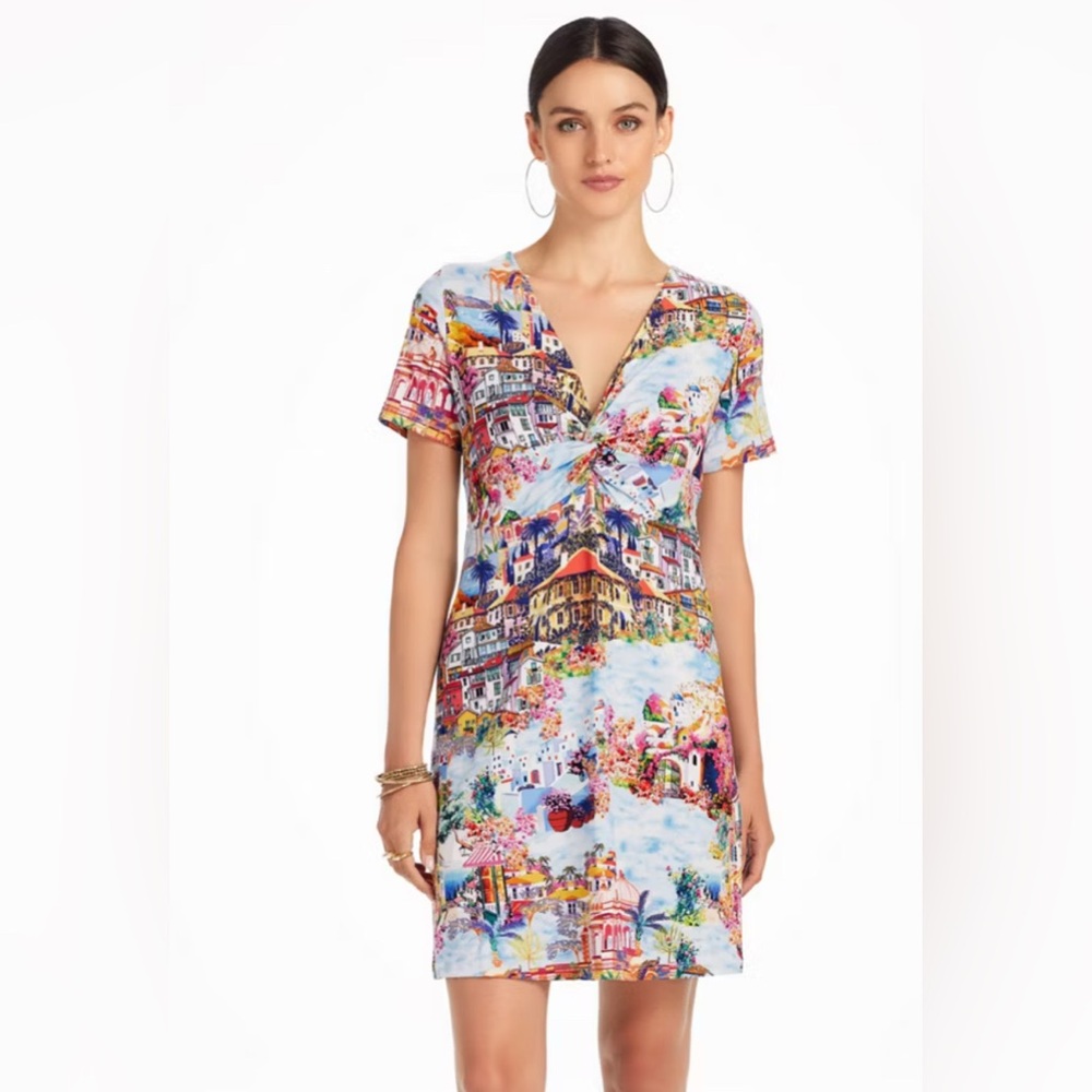 Johnny Was Janie Twist Front Swing Dress - Picture 10 of 10